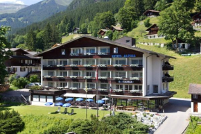 Гостиница Hotel Restaurant Alpina, Гриндельвальд
